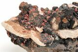 Small, Red Vanadinite Crystals on Manganese Oxide - Morocco #212020-3